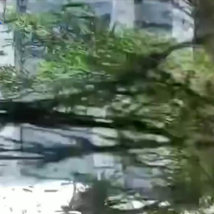 Elszabadult kamion csapódott egy házba, a romok alá szorult a lakó - videóval