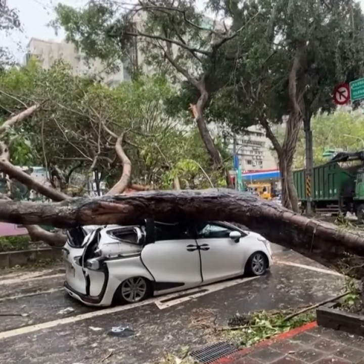 Megállt a pirosnál és rádőlt egy hatalmas fa a kocsijára - videóval