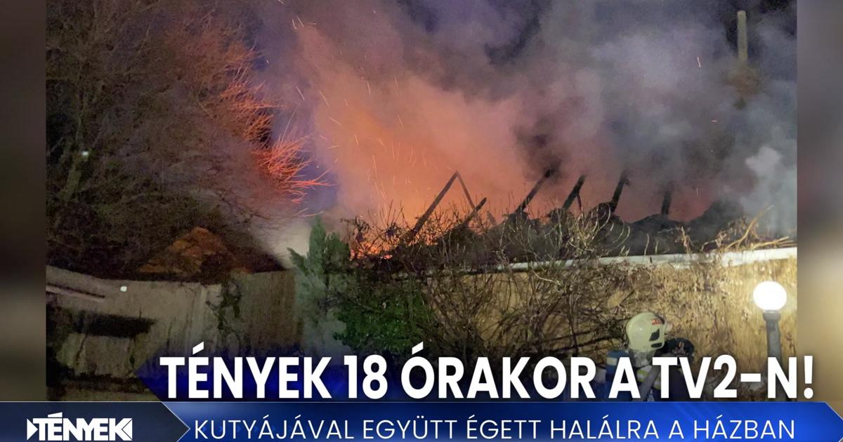 Tények - Kutyájával együtt égett benn a házában az idős nő - Tények 18.00