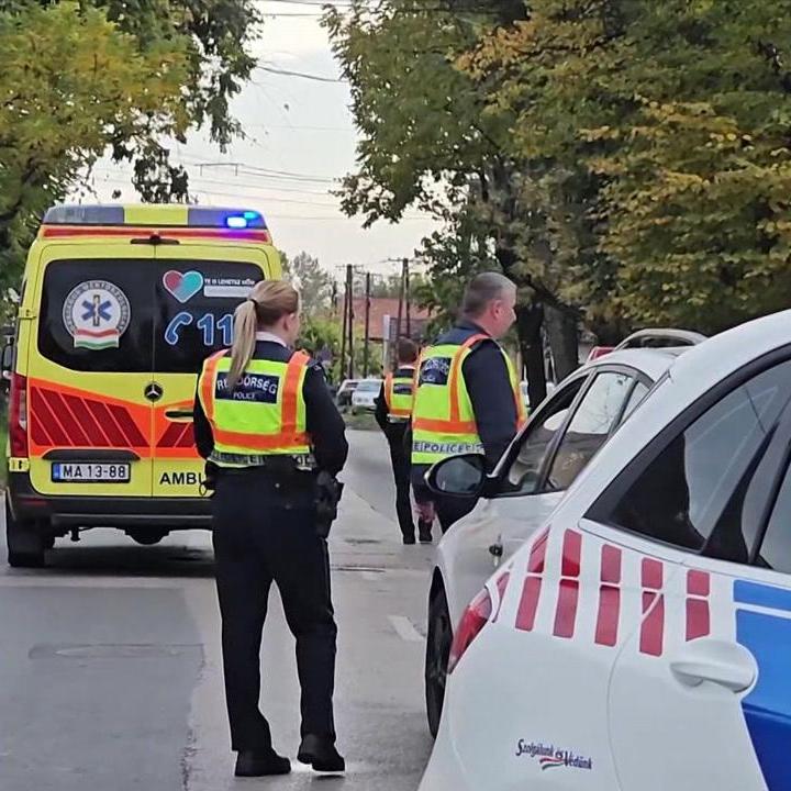 Hároméves kislányt gázoltak el, lincshangulat alakult ki Kiskunhalason